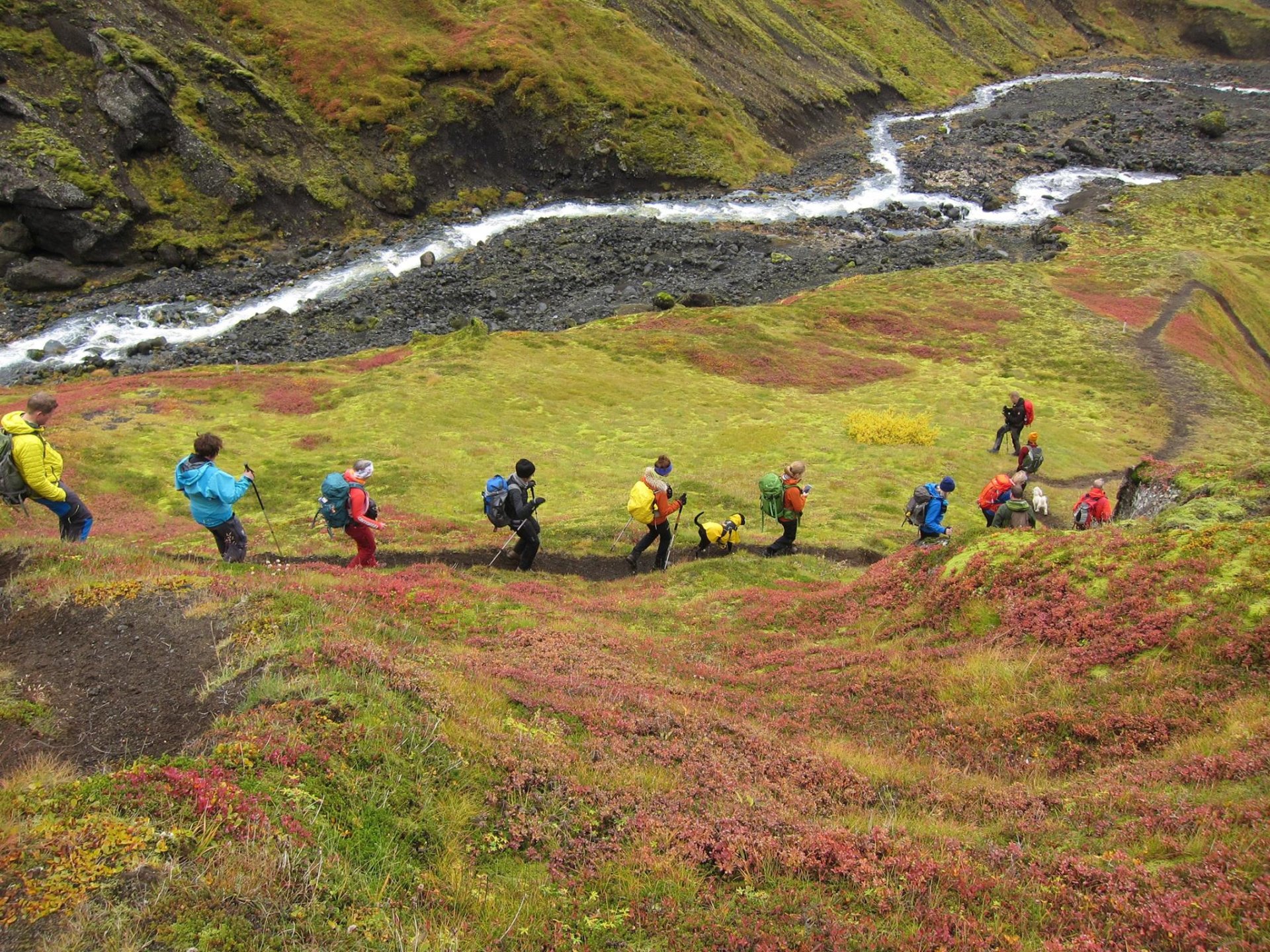 Niðurstaða úr skuldabréfaútboði - 11. september 2024